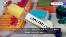 مثبت بودن آنتی‌بادی TPO لزوماً به معنای بیماری نیست؛  هشدار پزشک درباره تفسیر نادرست آزمایش‌ها