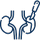 اورولوژی